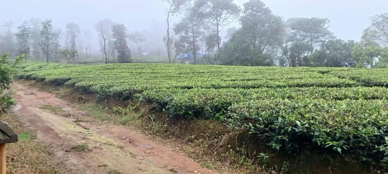 Laas Villa Vagamon 0*,  India