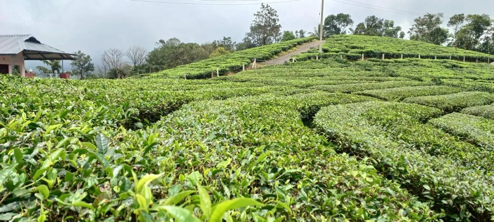 Laas Villa Vagamon