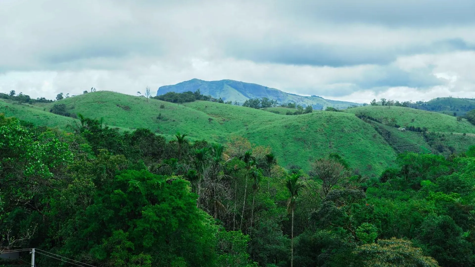 Laas Villa Vagamon India