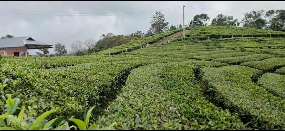 Homestay Laas Villa Vagamon India